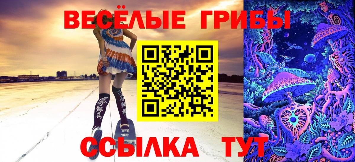 Дербент  закладка  Вход с VPN  Псилоцибиновые грибы Psilocybine cubensis 