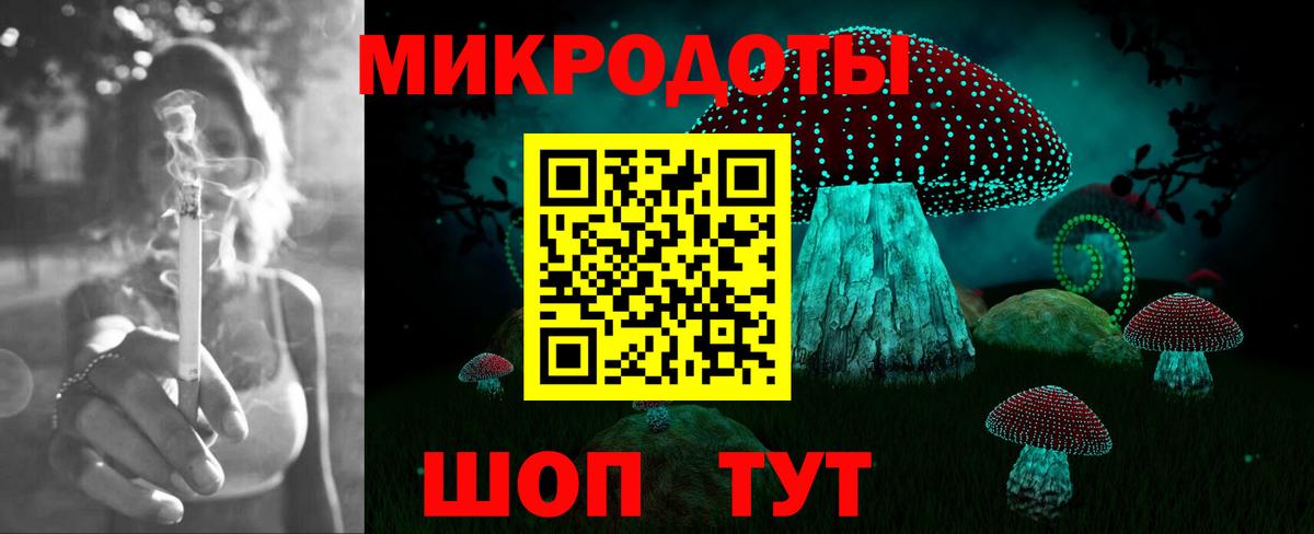 Псилоцибиновые грибы Psilocybe Дербент